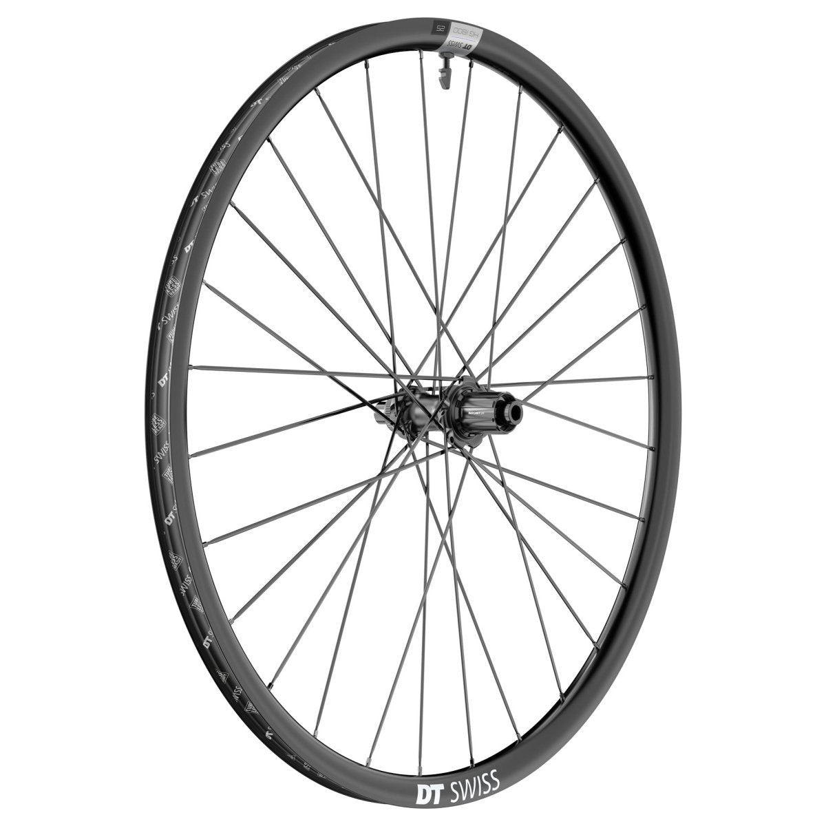 DT Swiss HG 1800 Spline DB 25 Hinterrad 12x142 mm Shimano HG - RAAAD.de