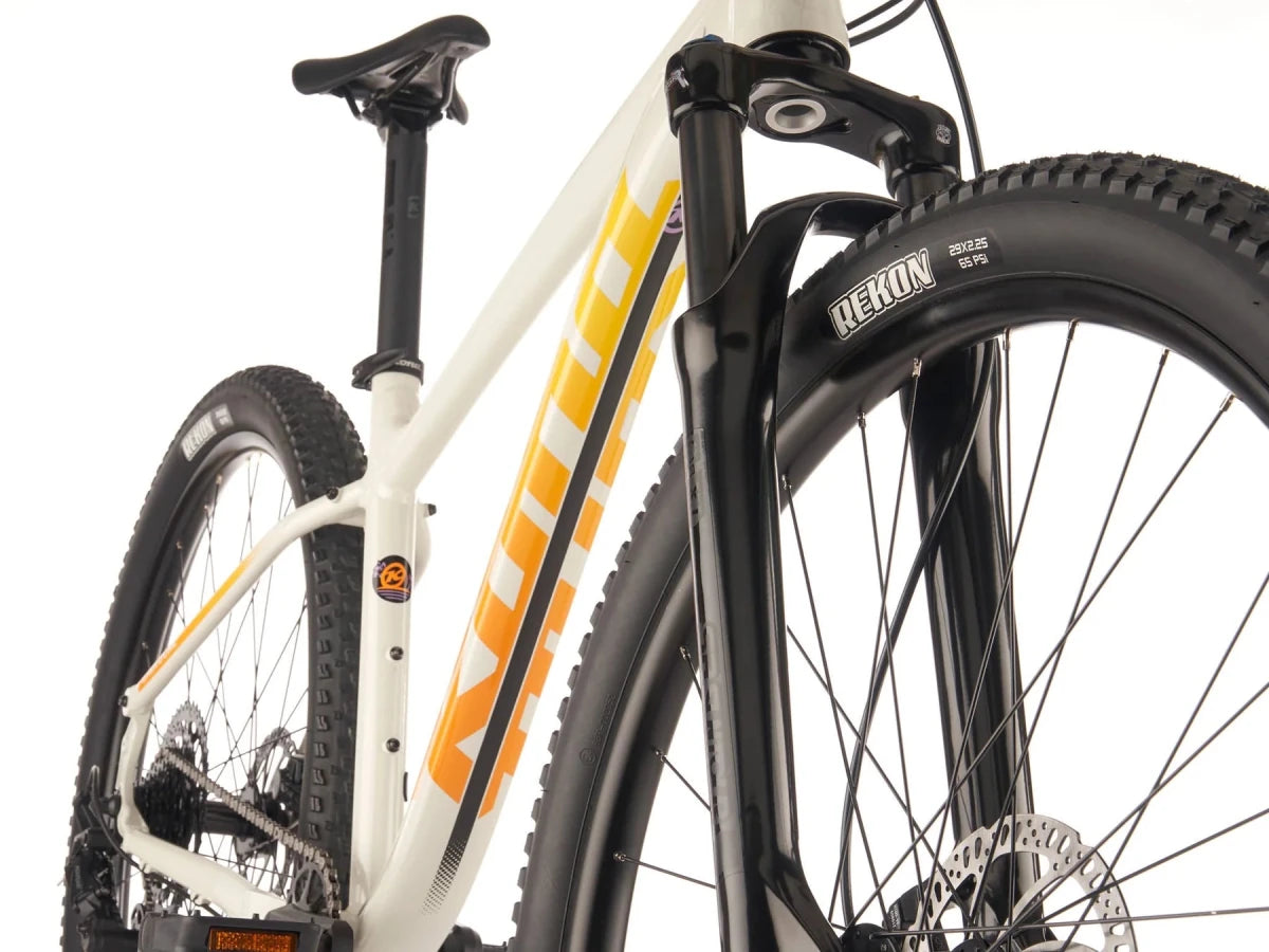 Kona Lava Dome | 29" | 9 - fach | Hardtail MTB - RAAAD.de