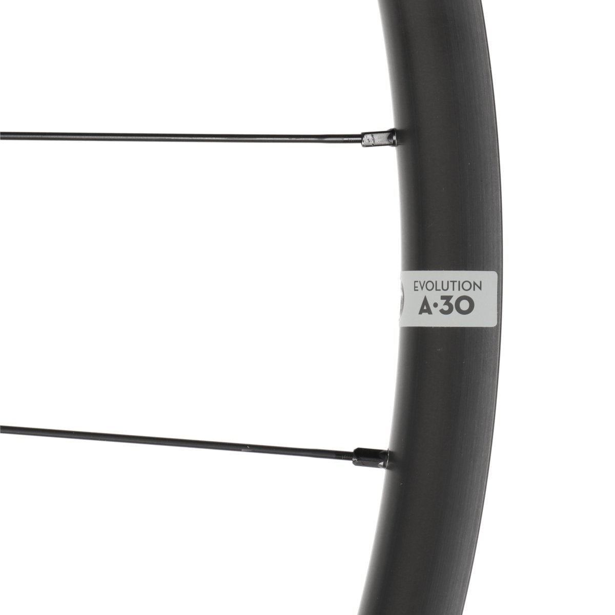 Newmen Evolution A.30 Hinterrad 29" | Boost 12x148 mm | 6-Loch Disc | Shimano Micro Spline - RAAAD.de